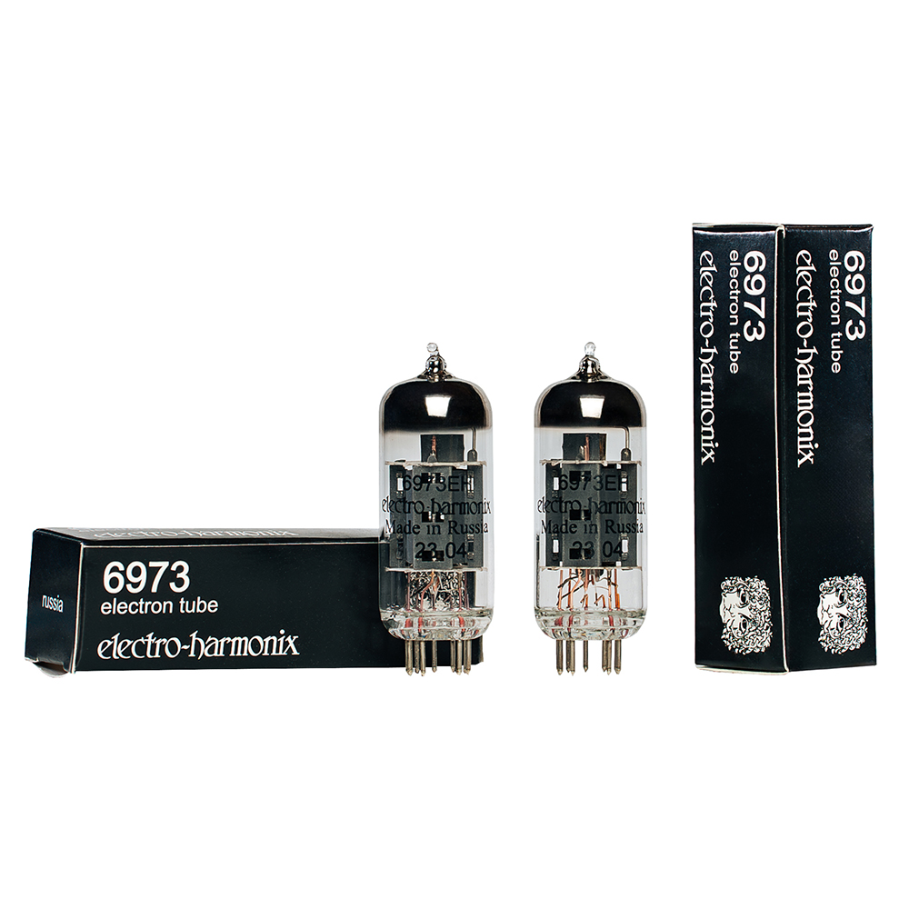 Electro-Harmonix 6973 - Platinum Matched - Image 1