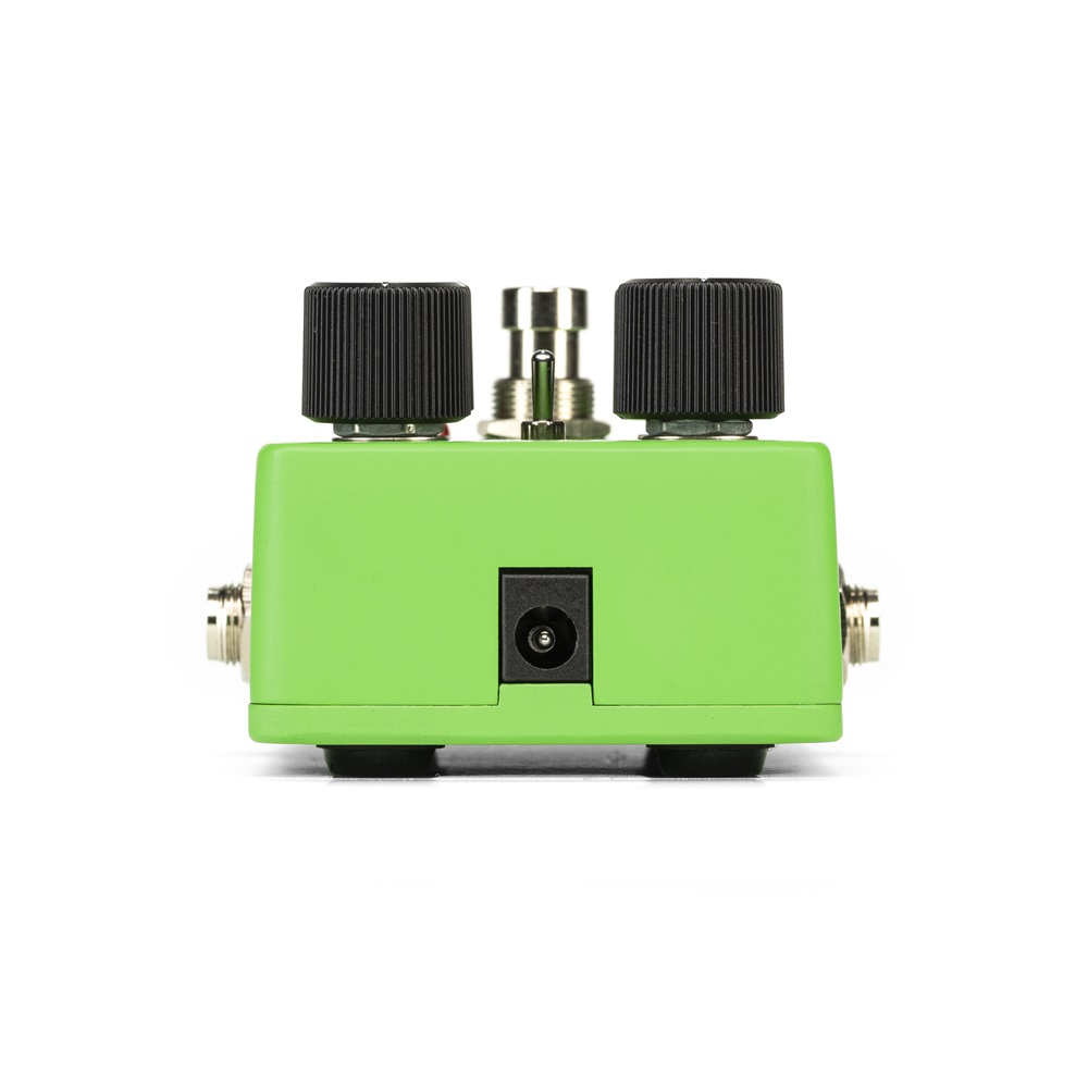 Lizard King - Image 4